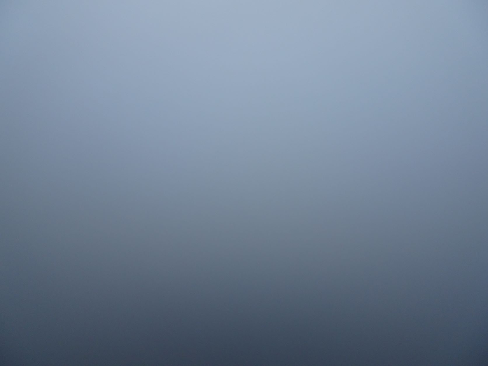  Trotz hellem Nebel- Sicht gleich null 